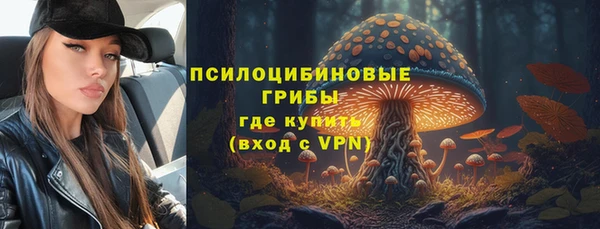 прущая мука Алзамай