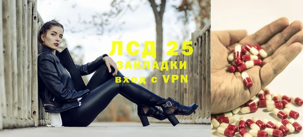 мет Алексин