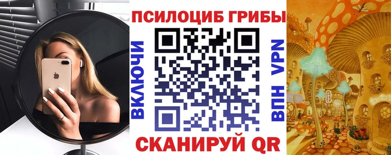 Псилоцибиновые грибы прущие грибы  Цимлянск 